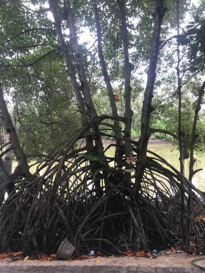 Baan Bon Resort Bang Tabun Πετσαμπούρι Εξωτερικό φωτογραφία